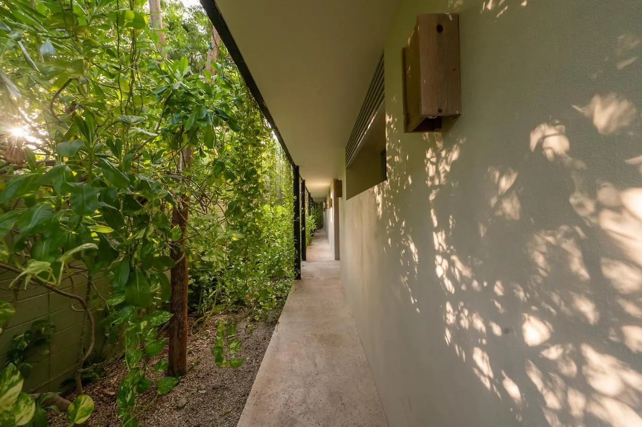 Casa Marisol Lejlighed Tulum